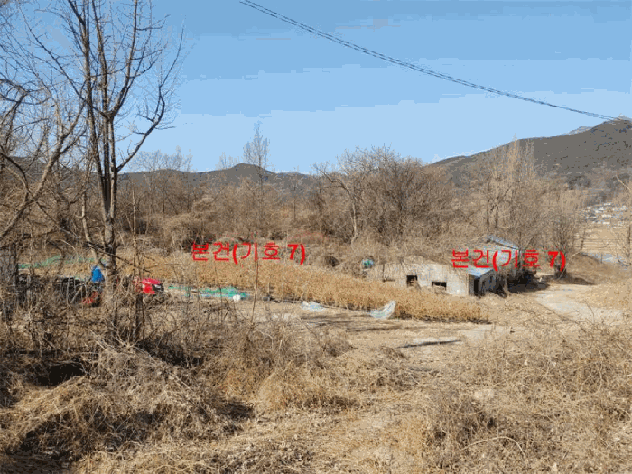 [ 본건(기호 7) ]