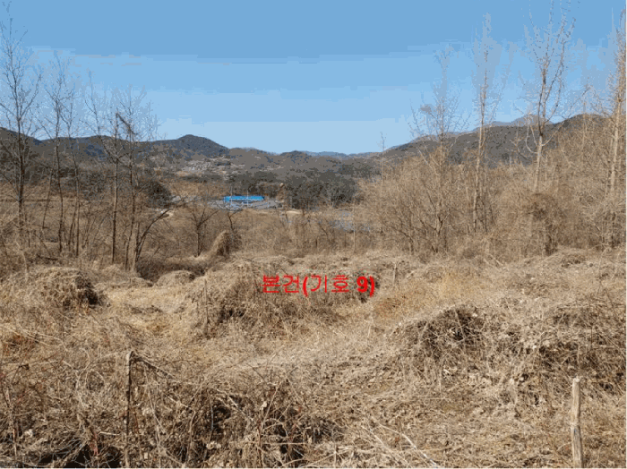 [ 본건(기호 9) ]