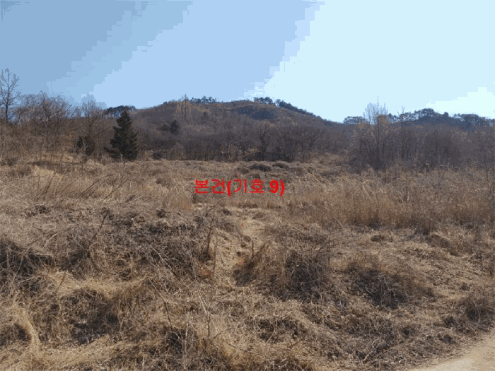 [ 본건(기호 9) ]