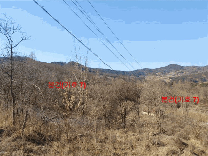 [ 본건(기호 7) ]