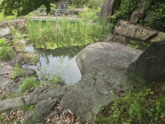 송림리 1136 인공호수 전경