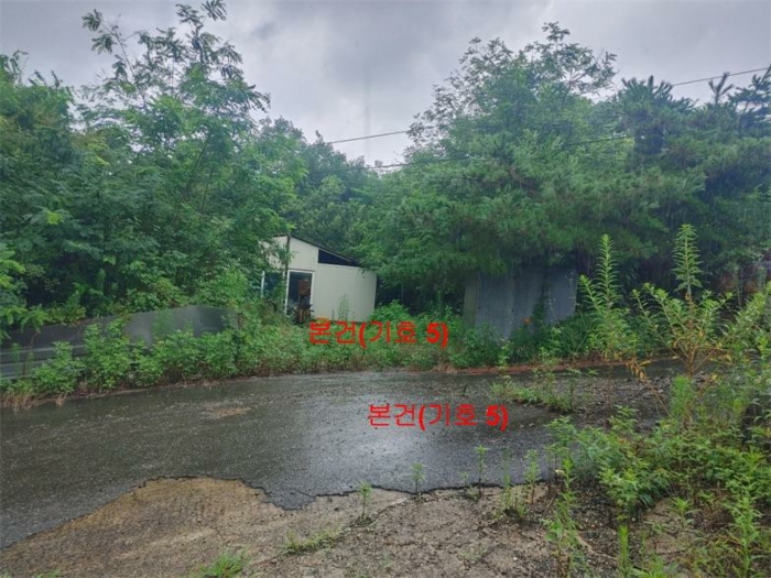 [ 본건(기호 5) ]