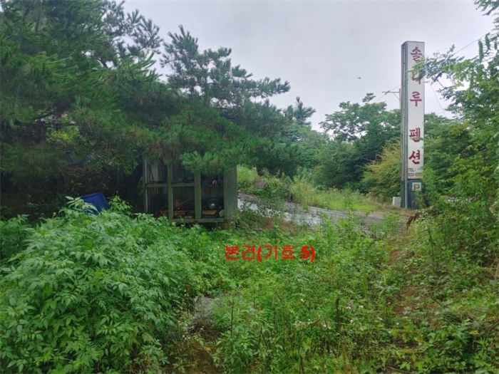 [ 본건(기호 5) ]