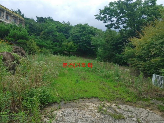 [ 본건(기호 6) ]