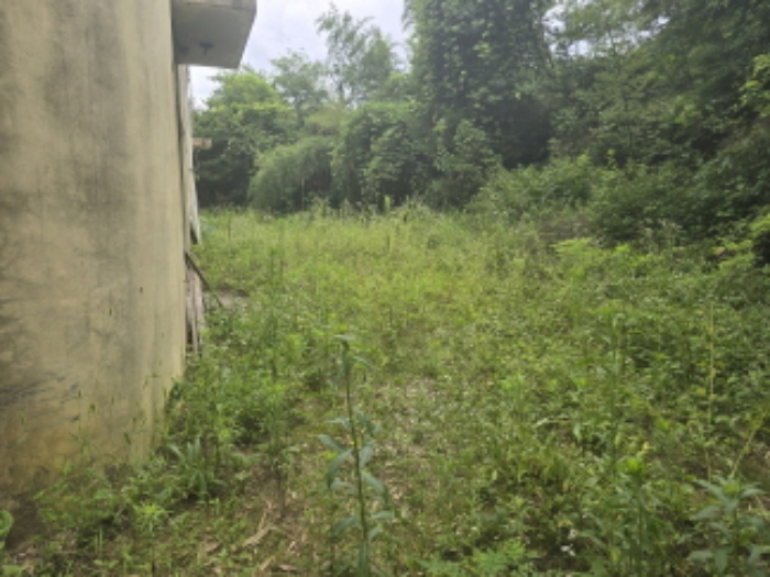 송림리 1132 제시된 건물 뒷편 전경