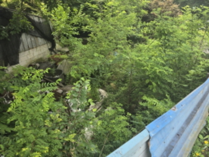 송림리 1135-4 휴경지 전경