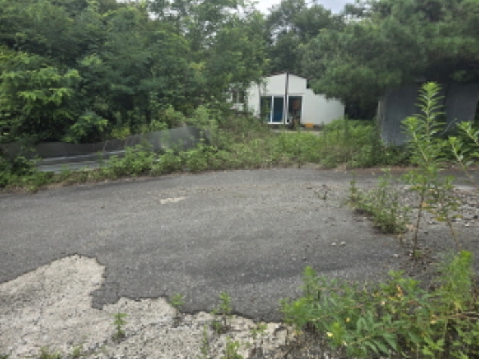 송림리 1135-2 도로 및 진입로 전경