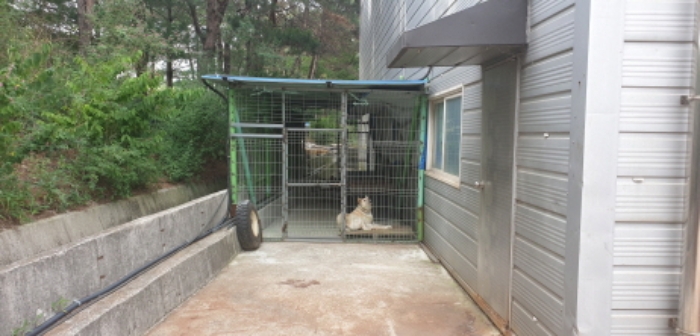 대산리 1548 전경 나동 1층 이설가능한 견사 전경