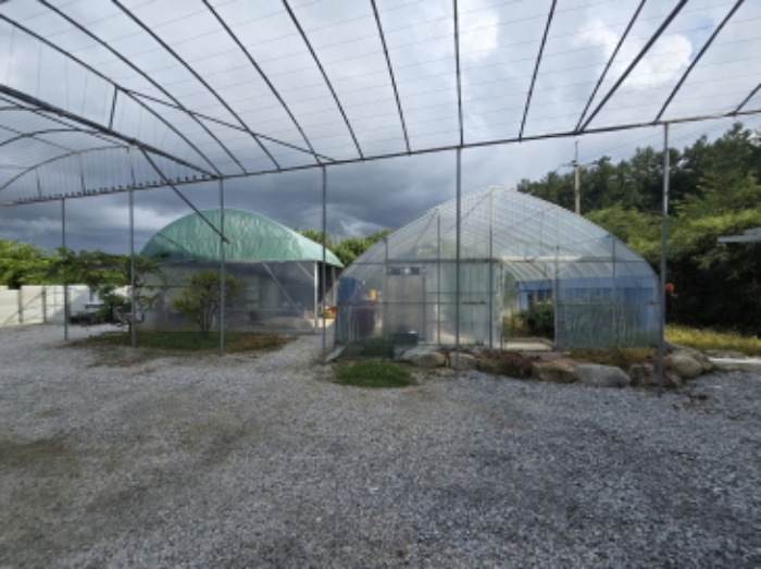 이설가능한 비닐하우스 2동 전경