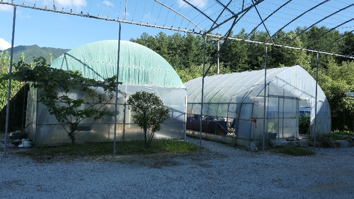 본건 지상 소재 비닐하우스