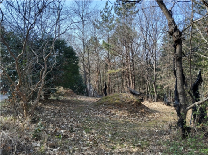 기호 5 토지(분묘 소재)