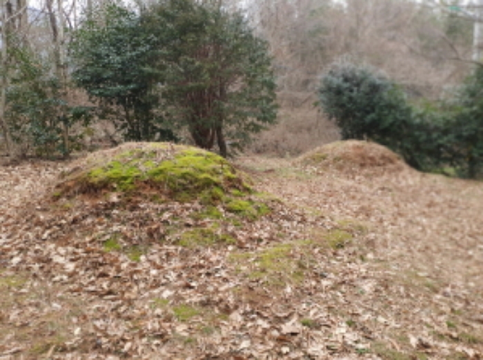 부동산표시 5번지상 분묘 전경