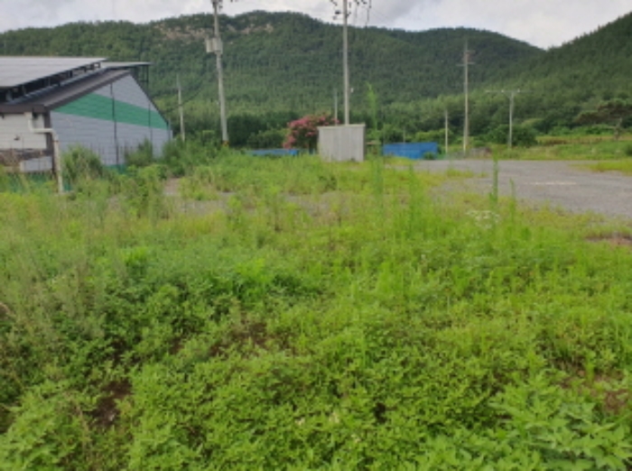 부동산표시 3번 전경