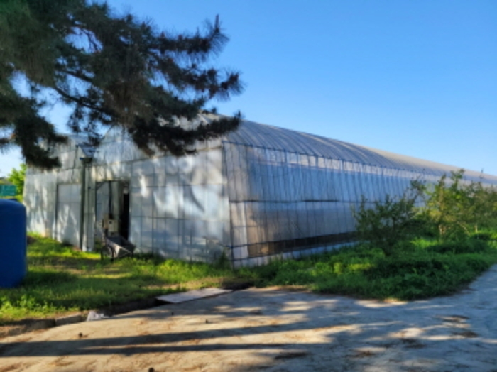 물건8번, 필지에 제시외 건물(ㄷ) 대형 비닐하우스 소재함.