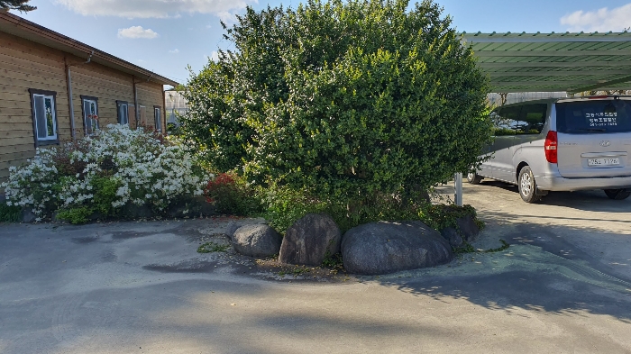 【 일련번호 9 소재 수목 】