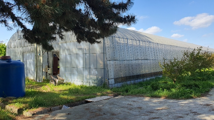 【 일련번호 8 (소재 비닐하우스) 】