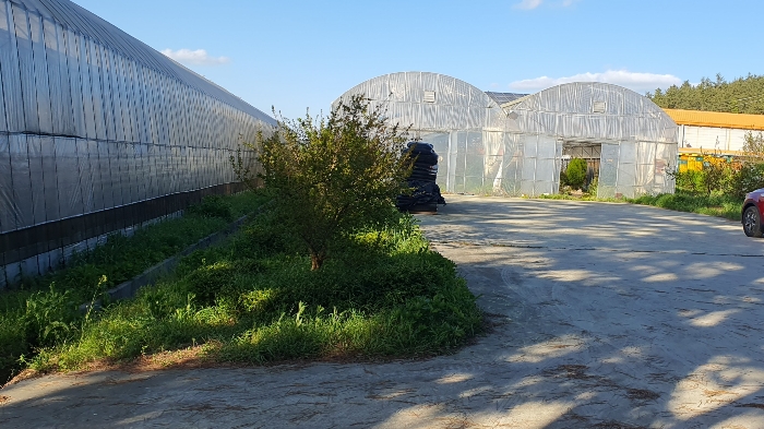 일련번호 1 (소재 수목)