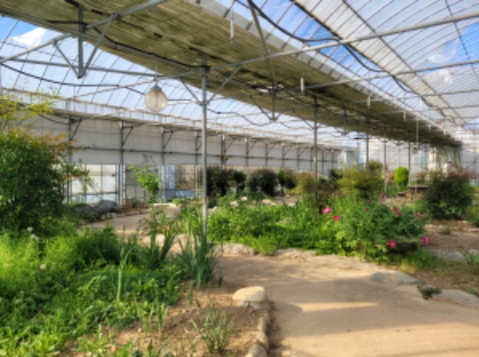 물건1번, 전경으로 제시외 건물(ㄱ) 비닐하우스 내부 전경사진