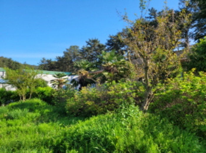 물건9번 필지에 정원 소재함.