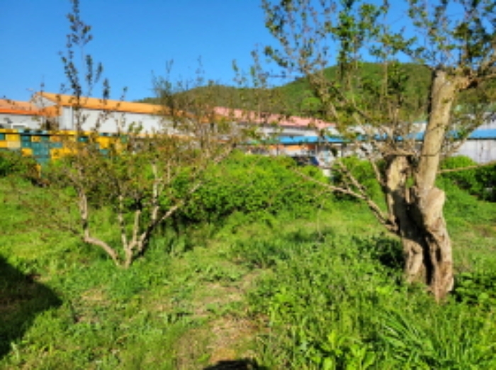 물건9번 필지에 정원 소재함.