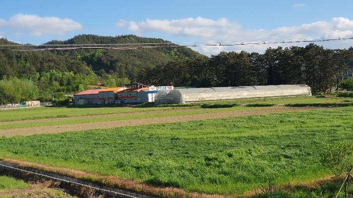 【 본건 전경 】