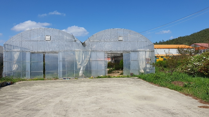 【 일련번호 1, 2, 9 소재 비닐하우스 】