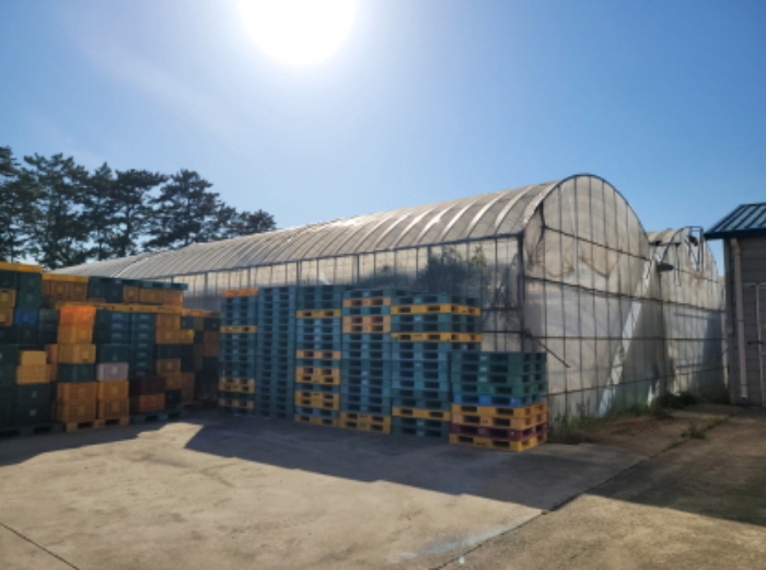 물건1번, 전경으로 제시외 건물(ㄱ) 비닐하우스 소재함. 