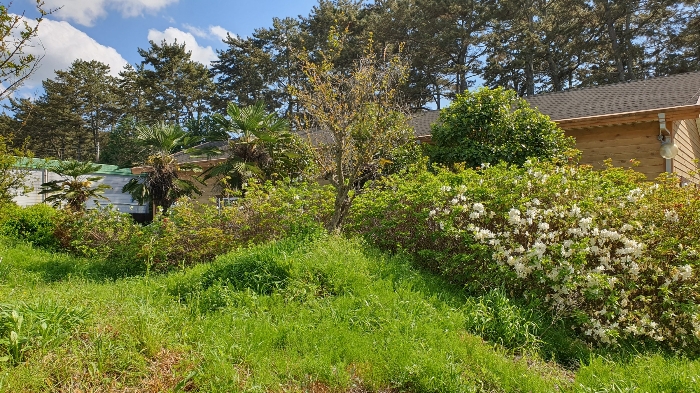 【 일련번호 9 소재 수목 】