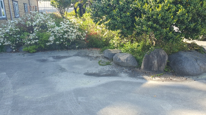 【 일련번호 9 소재 화단 】