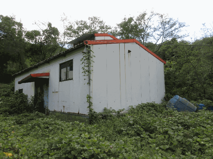 [기호2 건물 나동]