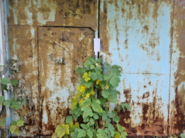 본건 1항 남서측에 위치한 본건 2항 나동 출입문 모습 (출입문에 임차인권리신고 안내장을 남겨둠)