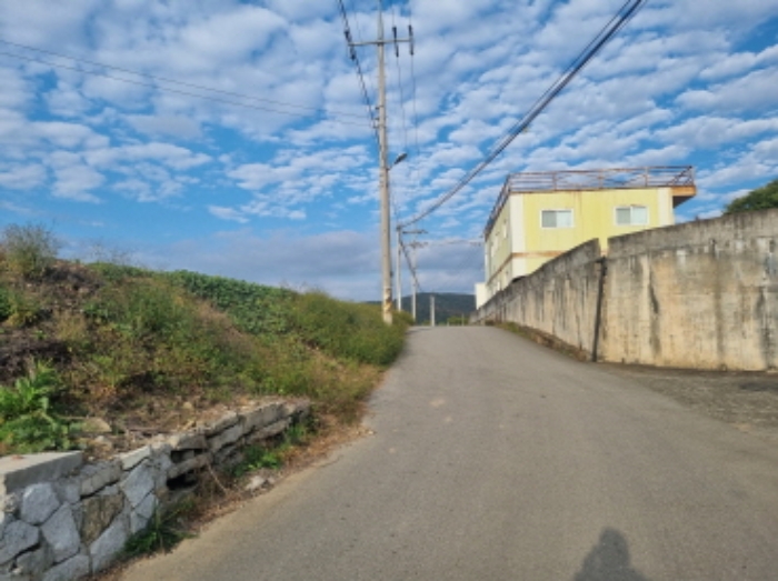 본건 북측에 위치한 포장도로의 모습