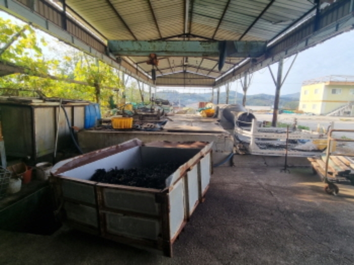 본건 1항 서측에 위치한 제시외 건물(별지도면상 `ㄹ`)의 내부 모습