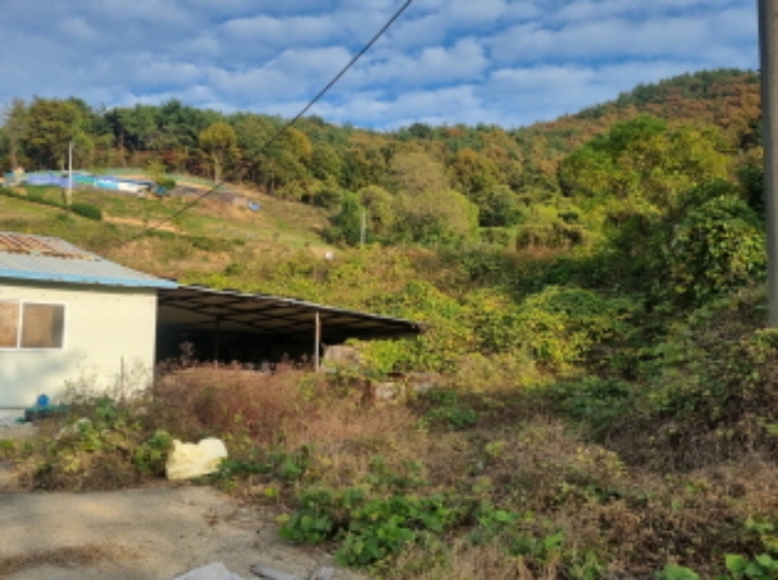 본건 1항 전경 남동측 전경