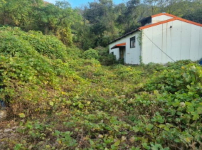 본건 1항 남서측 전경