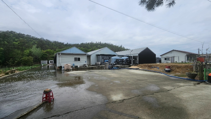 본건 기호(1) 전경