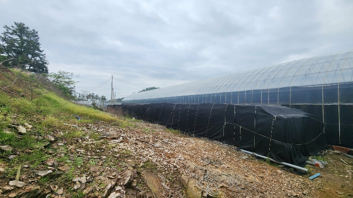 본건 기호(2) 전경