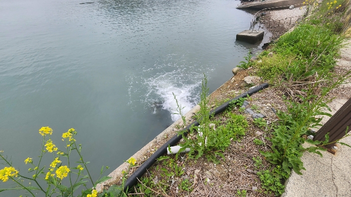 본건 기계기구(1-1)