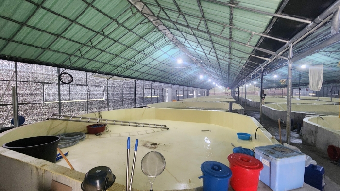 본건 기계기구(4-1)