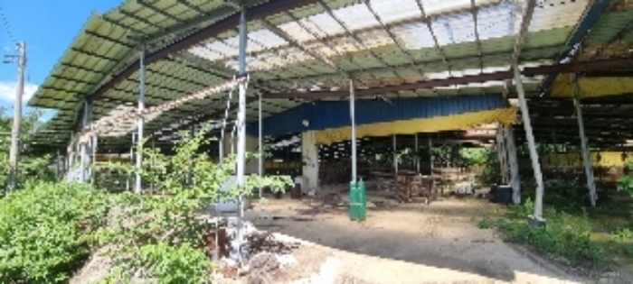 장수 계남 침곡 1364-13,-17,-12,-19번 경매물건14번 건물들 사진