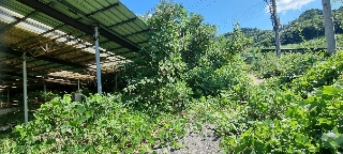 장수 계남 침곡 1364-17번 경매물건8번 중 묵전 사진