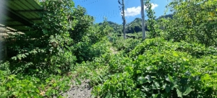 장수 계남 침곡 1364-17번 경매물건8번 중 묵전 사진