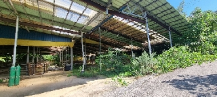 장수 계남 침곡 1364-10,-13 경매물건1,4번 중 도로로 이용중인 부분 사진