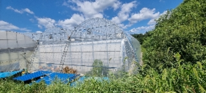 장수 계남 침곡 1364-11,-16,산11-8 경매물건2,7,11번 토지 및 지상 제시외 비닐하우스시설물 사진