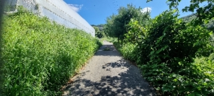 장수 계남 침곡 1364-10,-13 경매물건1,4번 중 도로로 이용중인 부분 사진