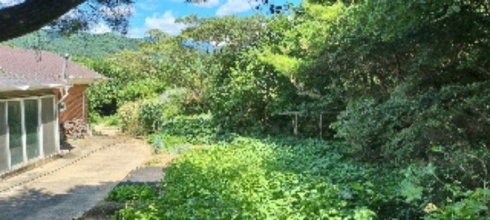 장수 계남 침곡 1364-10 경매물건1번 중 밭작물 재배하는 부분 사진