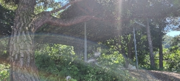 장수 계남 침곡 1364-10 경매물건1번 지상제시외 까데기 판넬지붕 시설물 사진