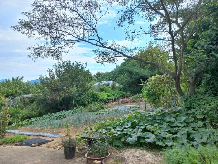 토지 일련번호1)