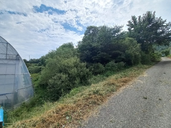 토지 일련번호3, 11)