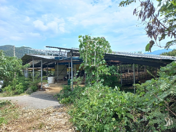 토지 일련번호4, 8, 10)